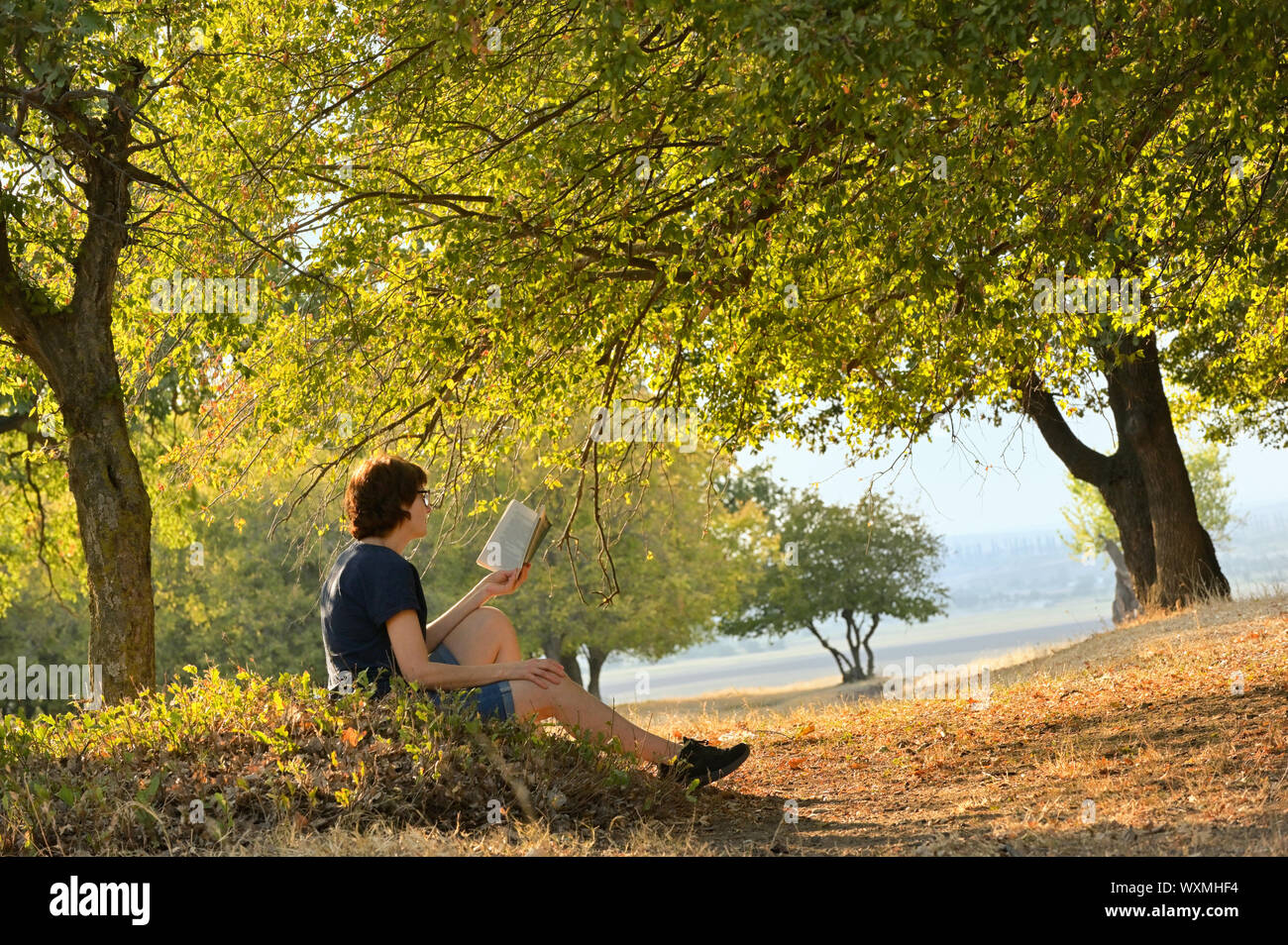 Woman reading a book in autumn forest Stock Photo