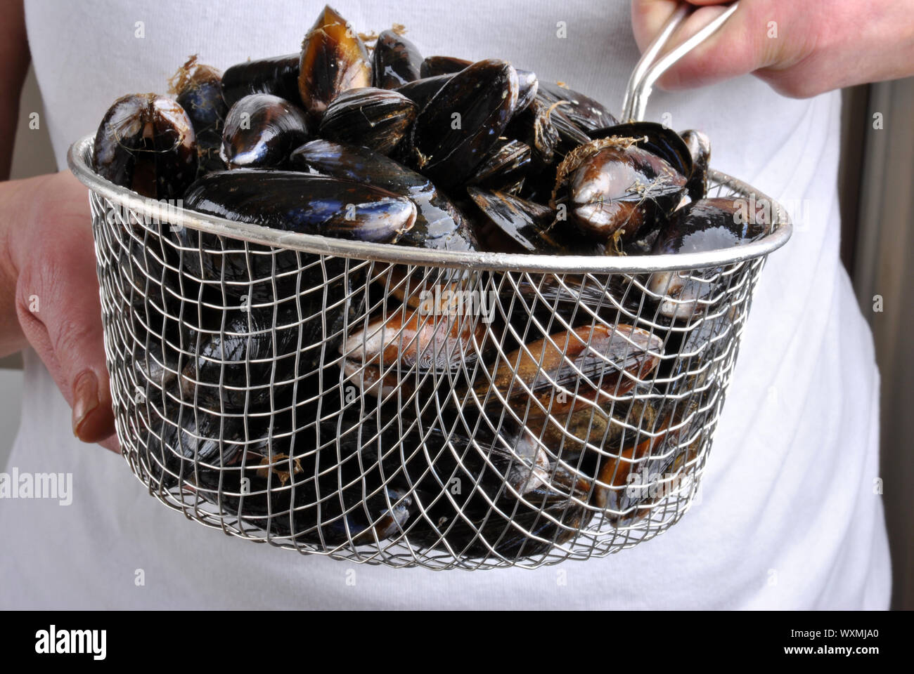 fresh organic mussel have to be cleaned Stock Photo Alamy