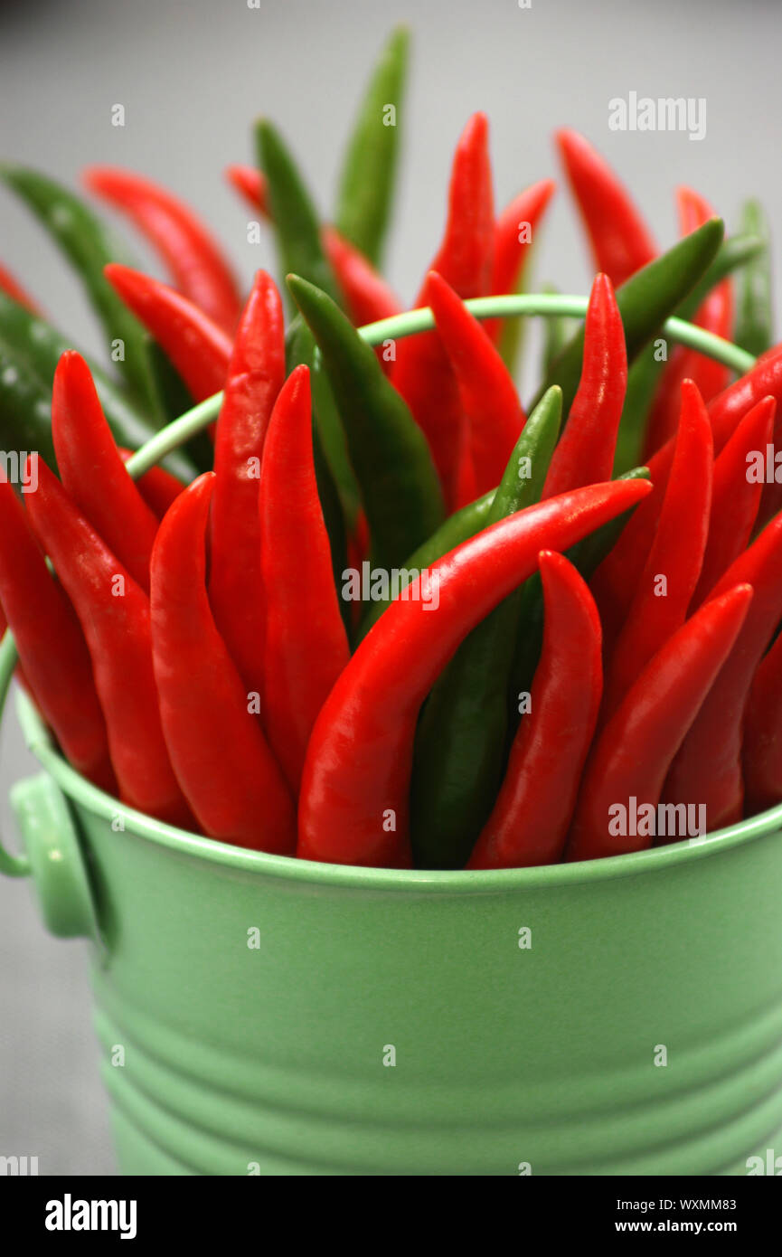 some red and green chili in a bucket Stock Photo - Alamy