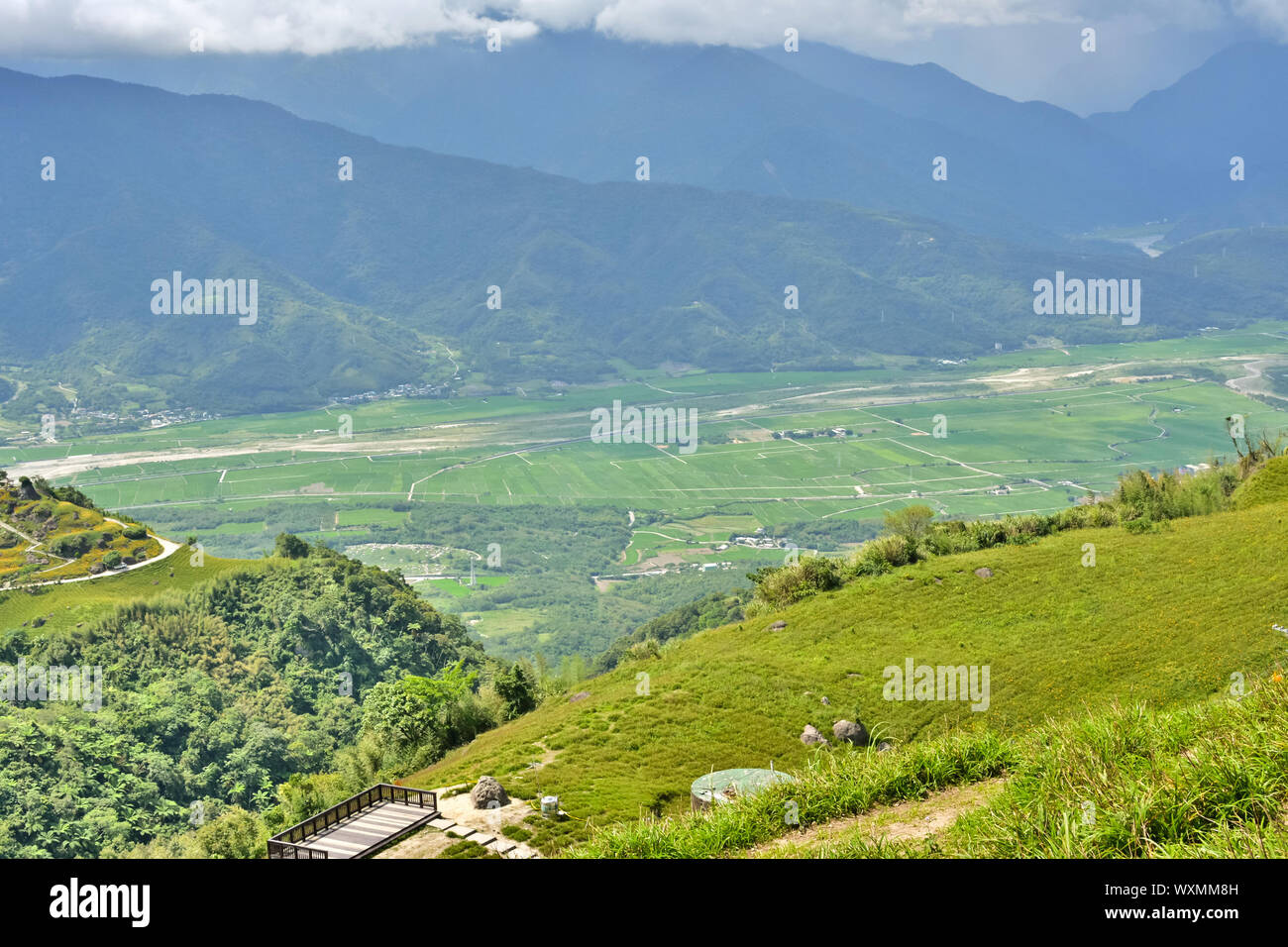 Hualien taiwan lily hi-res stock photography and images - Alamy