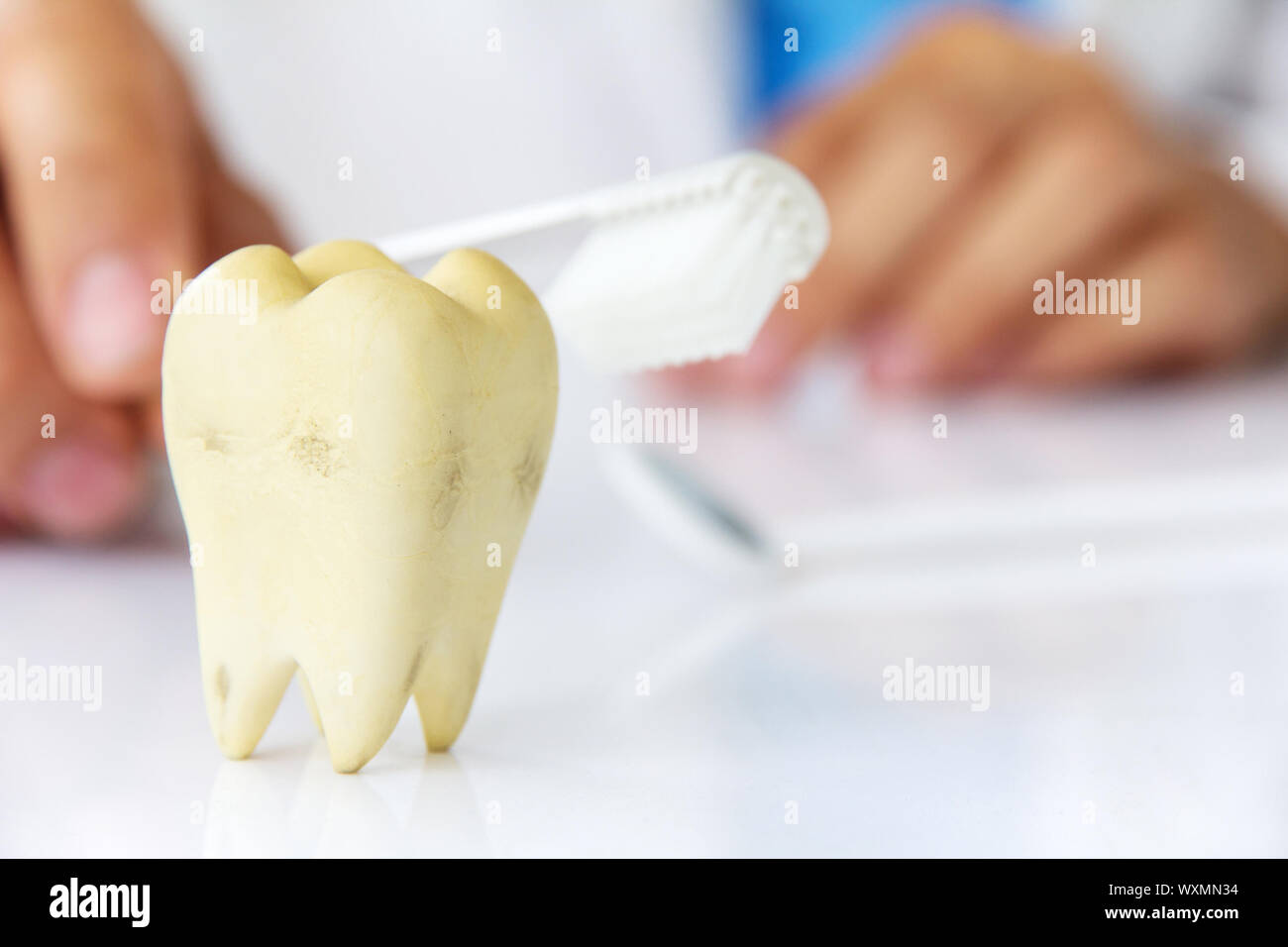 molar with dentist background Stock Photo
