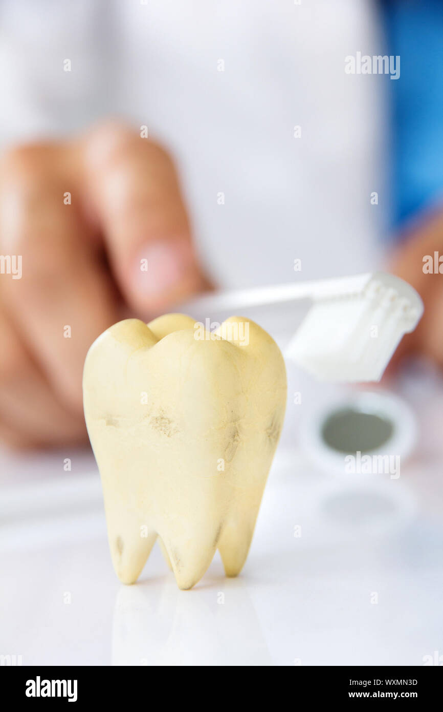dentist holding brushing teeth Stock Photo