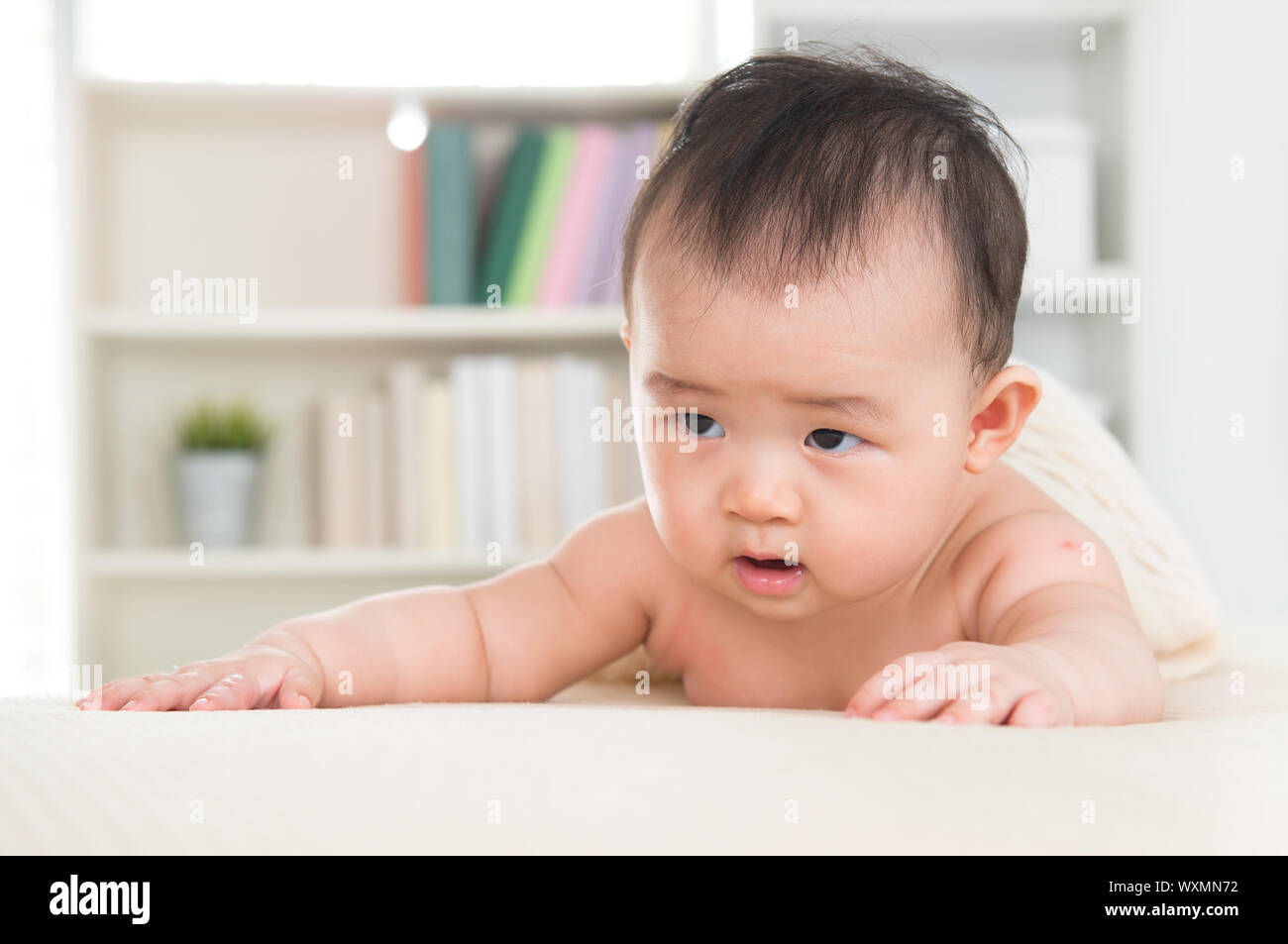 Adorable six months old Asian baby girl crawling on bed Stock Photo Alamy