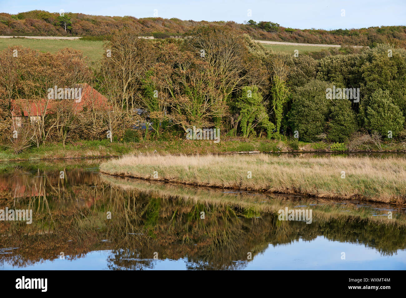 Trees in early autumn reflected in an Oxbow lake at Exceat, near Seaford, East Sussex, UK, with the South Downs in background Stock Photo
