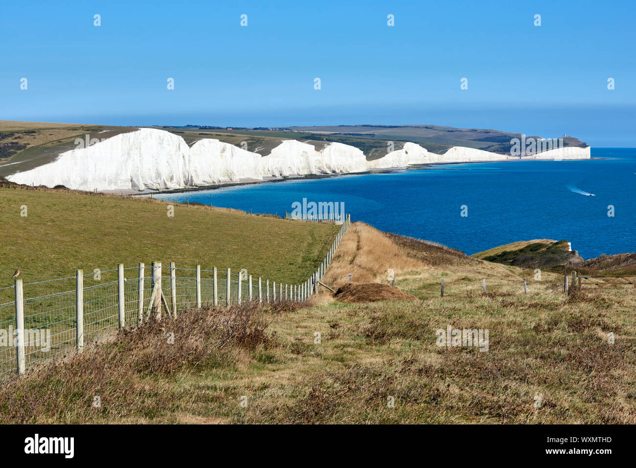Seaford Head on the South Downs, East Sussex, UK, looking east towards Seven Sisters Stock Photo