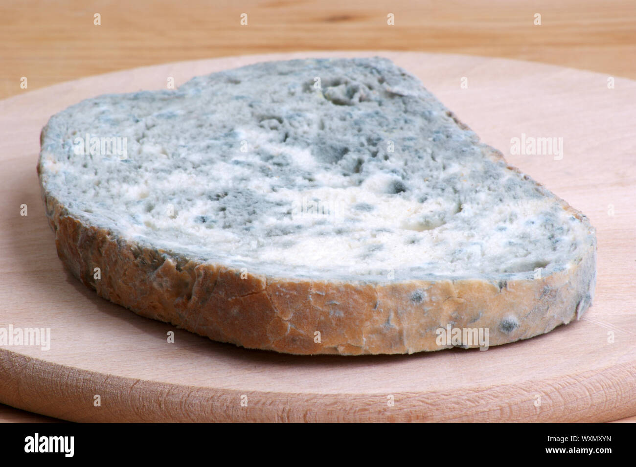 one slice mouldy bread on a timber board Stock Photo