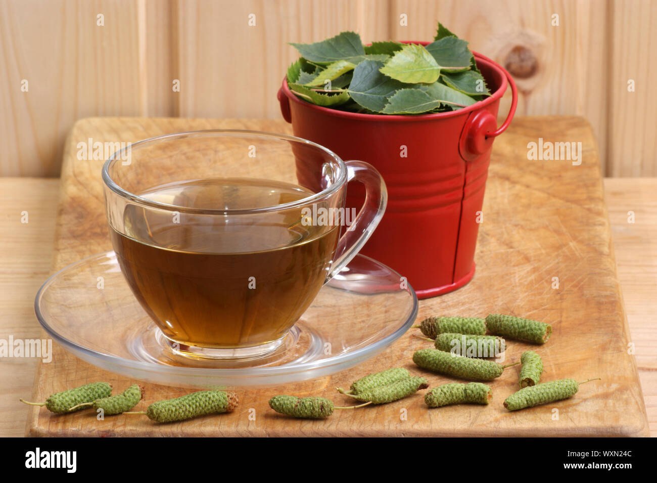 Береза с чагой чай. Древесный гриб чага. Чага березовая чай. Чай из листьев винограда. Чай из березы.