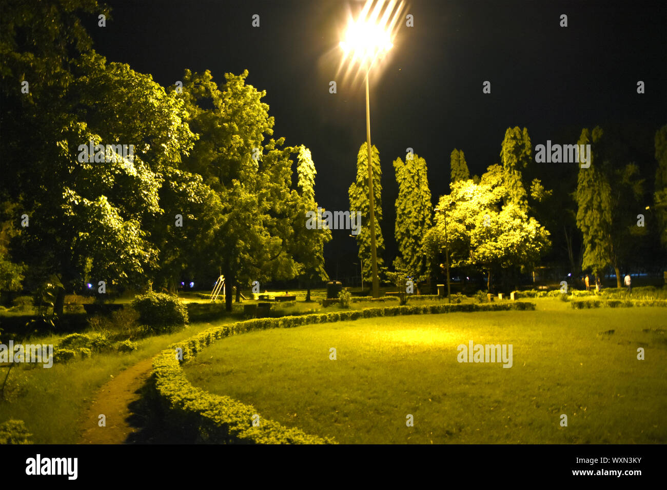 Park at Night Stock Photo Alamy
