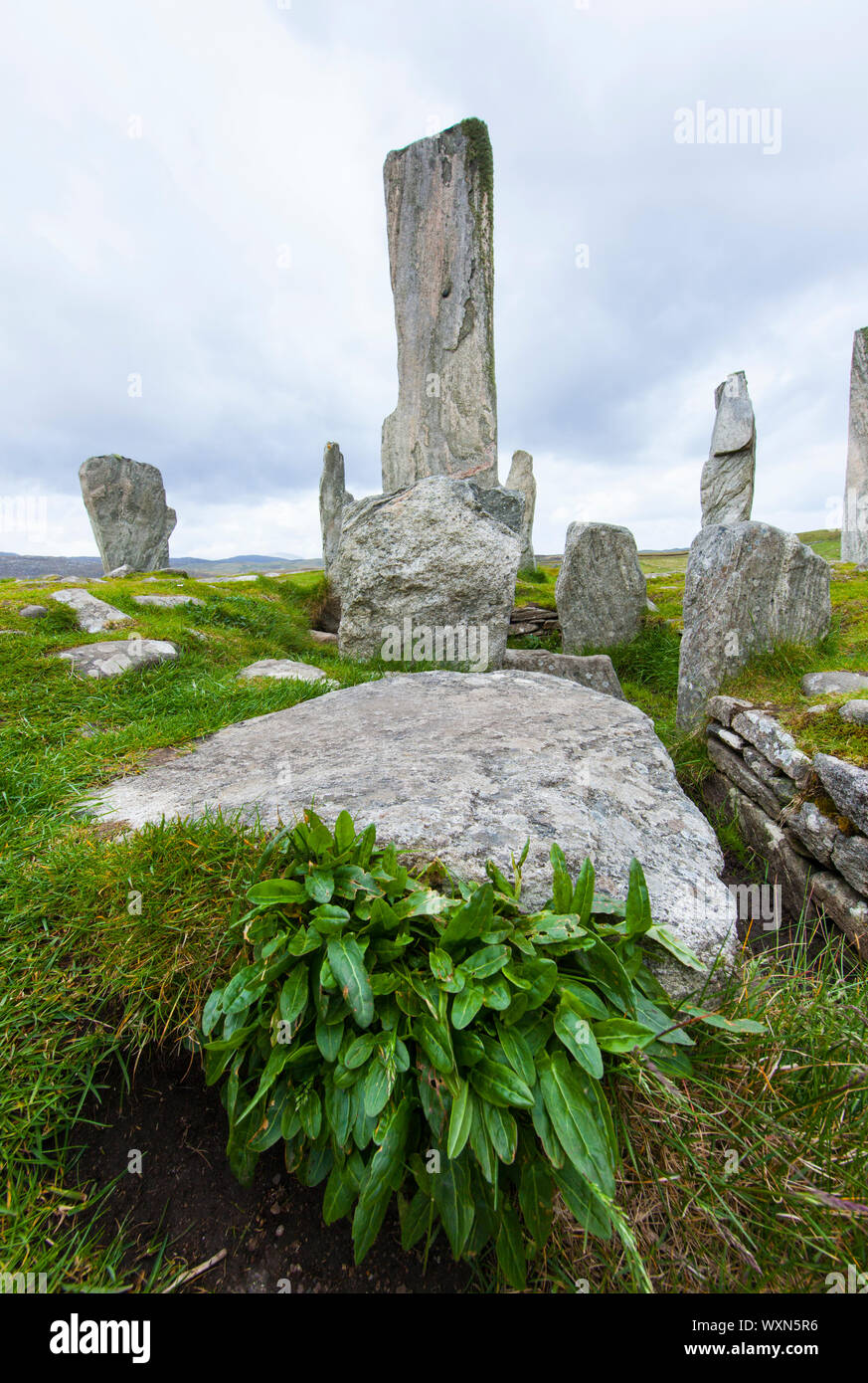 Monumento Neolítico Circulo de Calanais (Ring of Calanais). Isla Lewis. Outer Hebrides. Escocia. UK Stock Photo