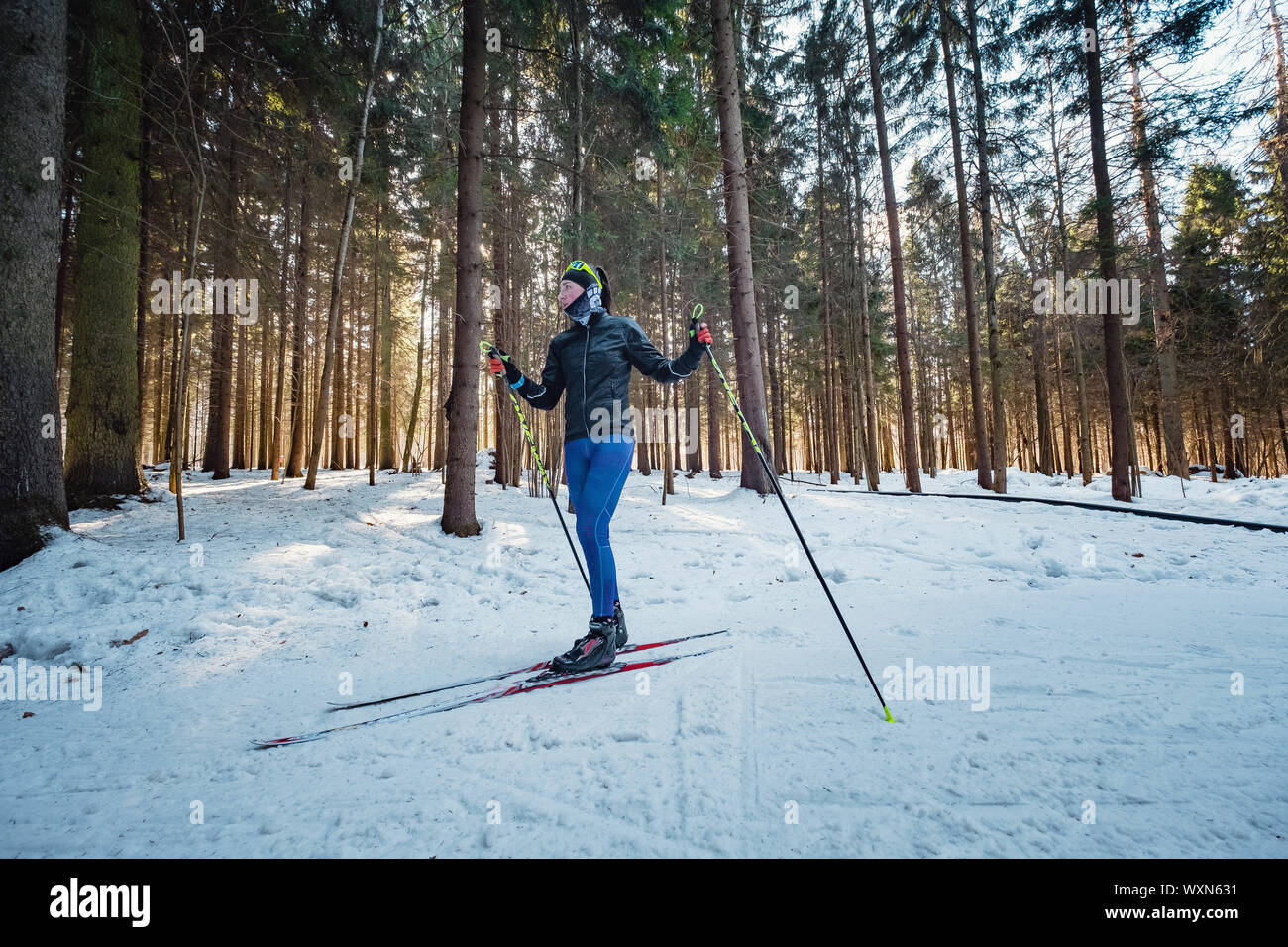 Cross-country skiing woman doing classic nordic cross country skiing in trail tracks in snow covered forest. Training track for skiers in the park of Stock Photo