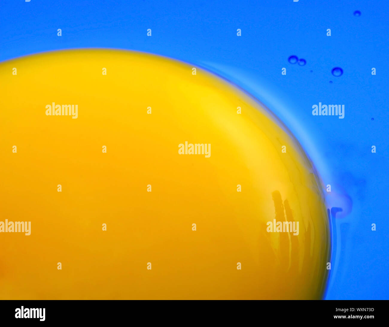 Blue Egg Yolk High Resolution Stock Photography and Images Alamy