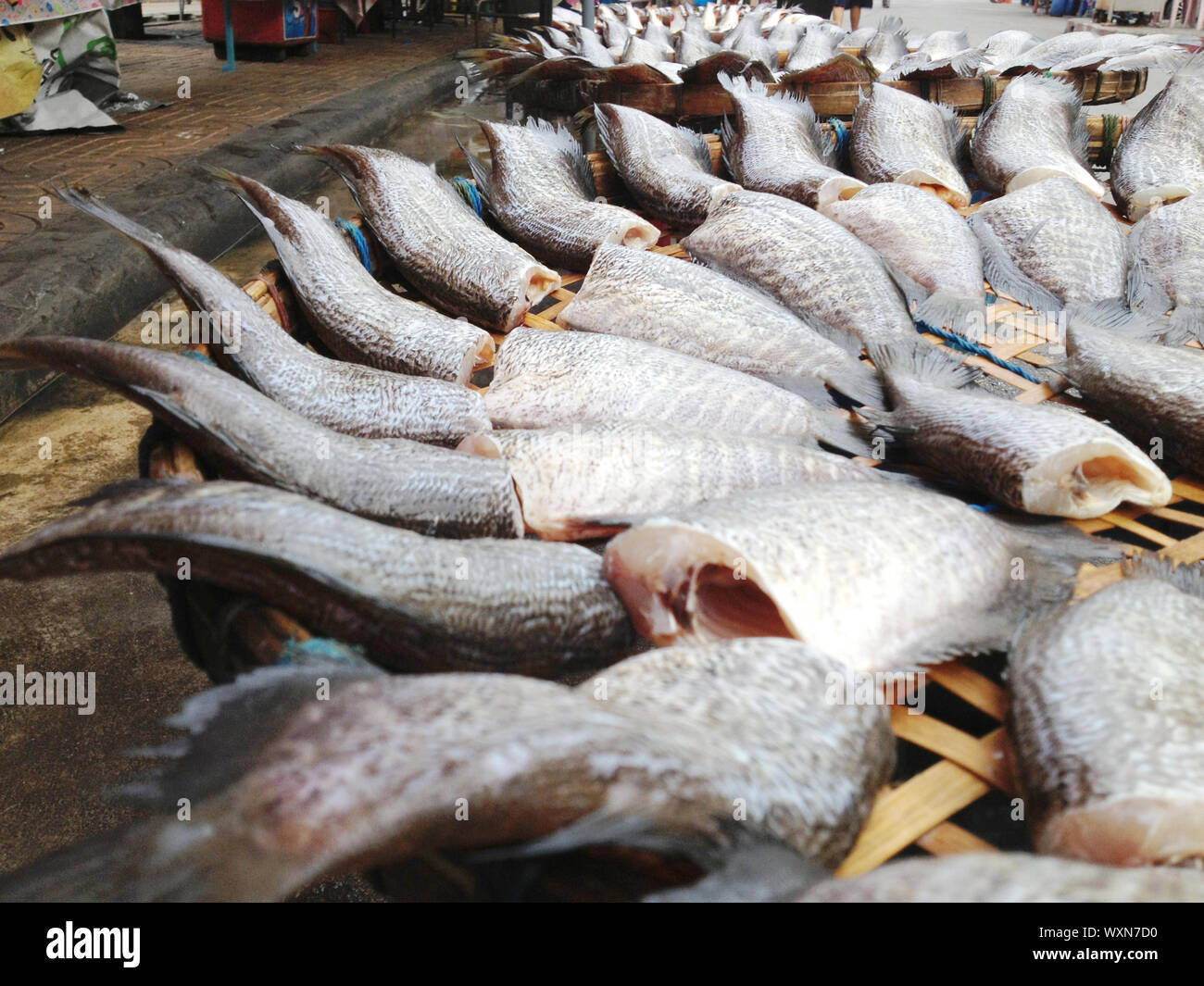 drying snakeskin gourami fishes Stock Photo