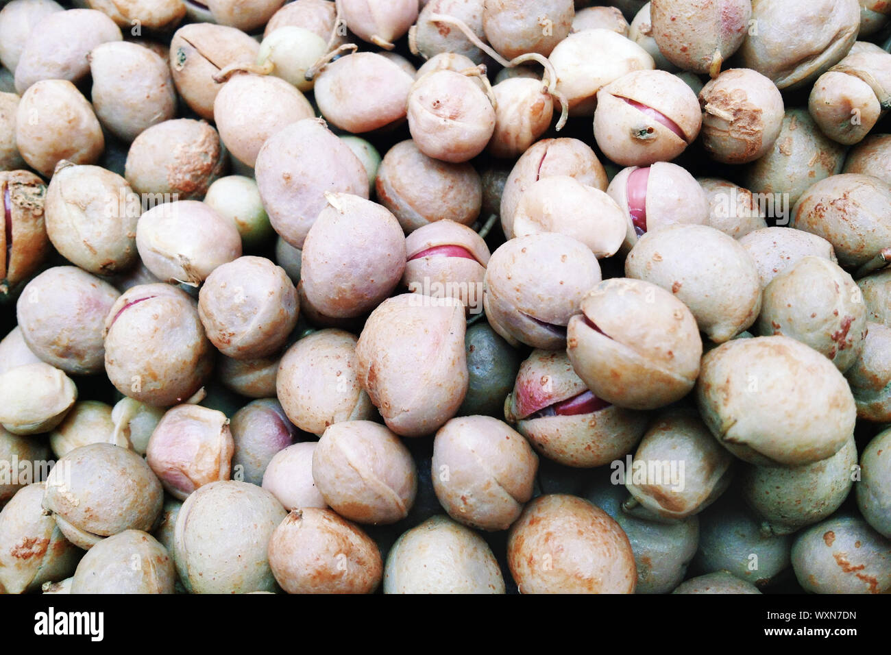 Boiled Bambara Groundnut Stock Photo
