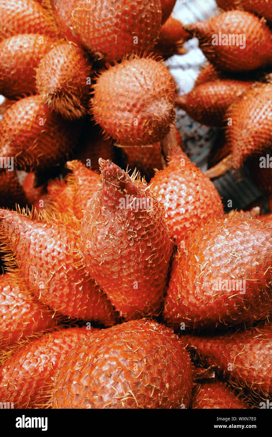zalacca tropical fruit background texture Stock Photo