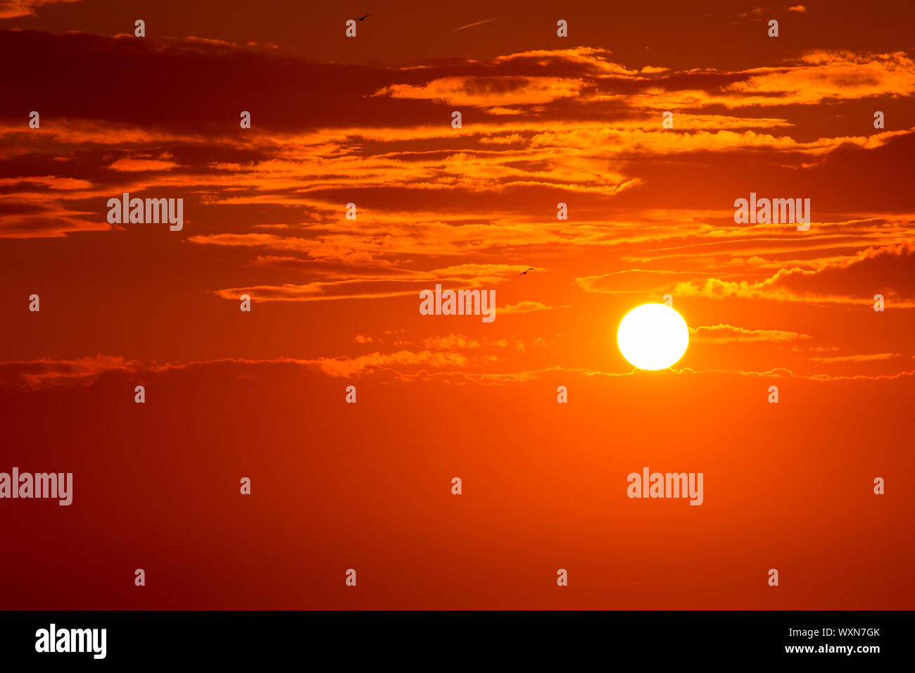 Sunset orange sky background at evening with clouds Stock Photo - Alamy