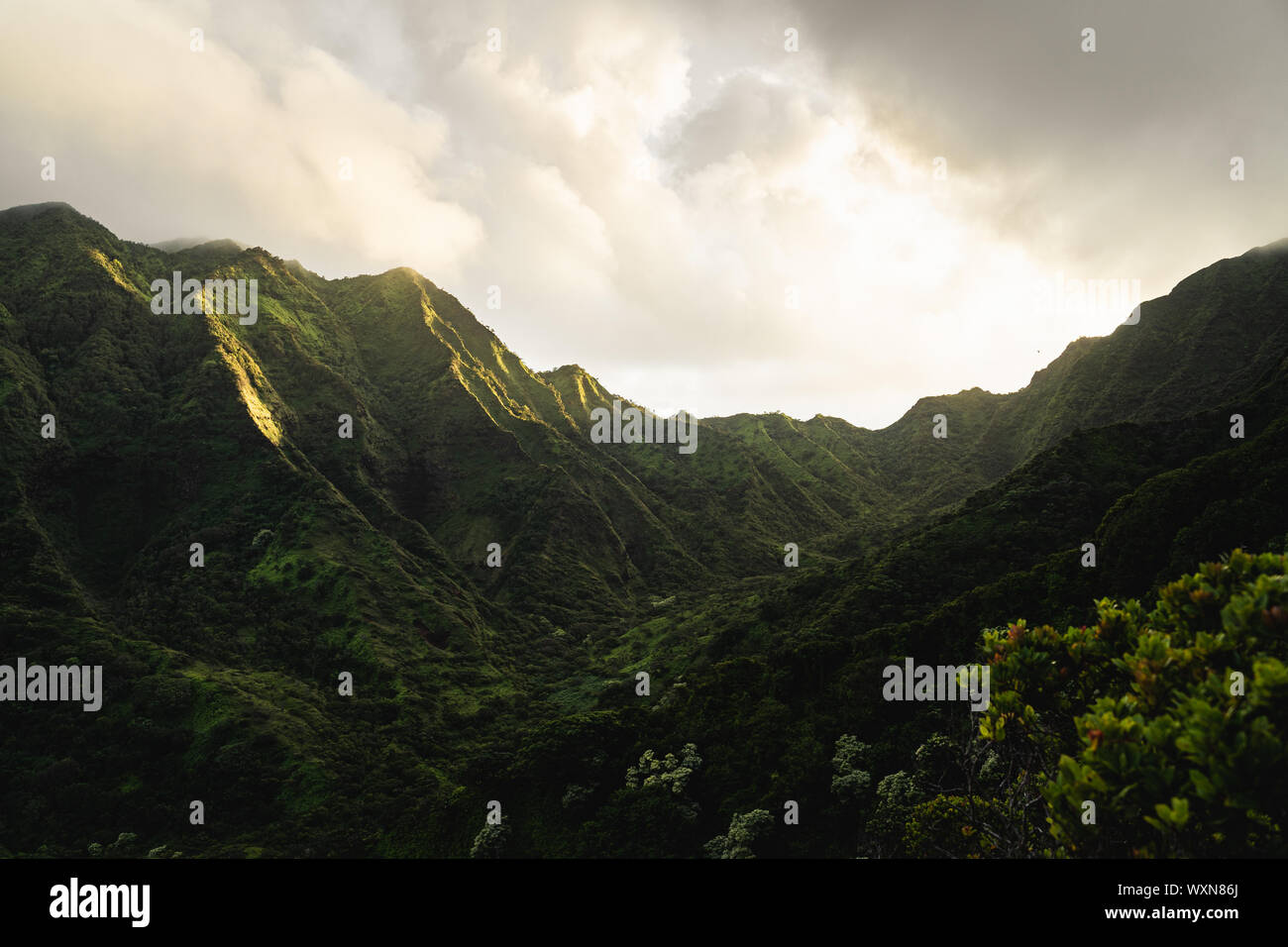 First rays of sunlight light up the beautiful and rugged green mountains of Oahu. Stock Photo