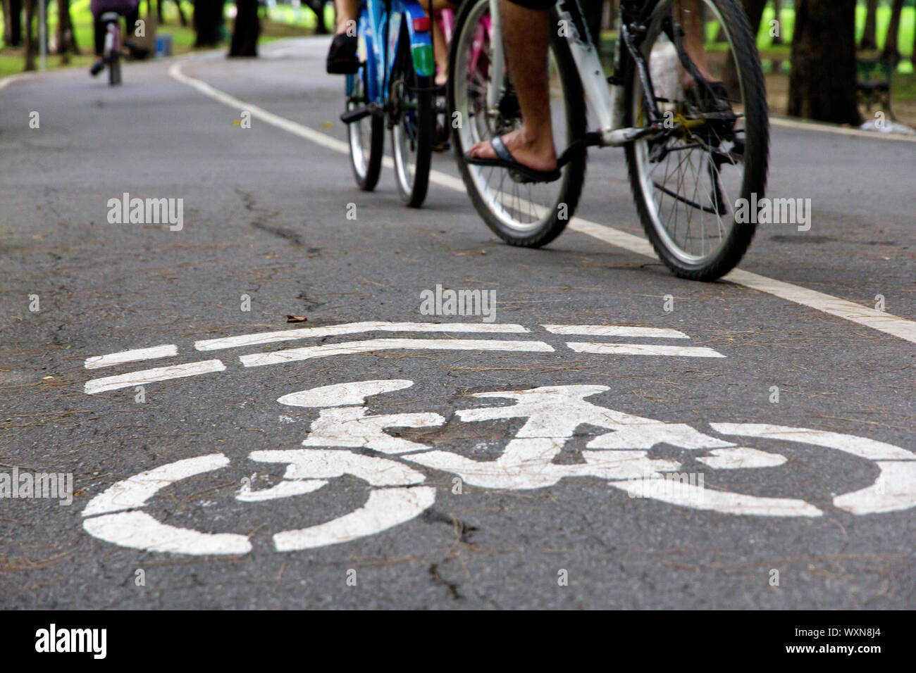 Bike lane in the park Stock Photo