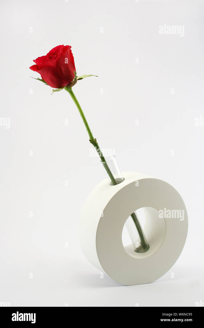 A Single Long Stemmed Red Rose In A Modern Glass And Ceramic Vase