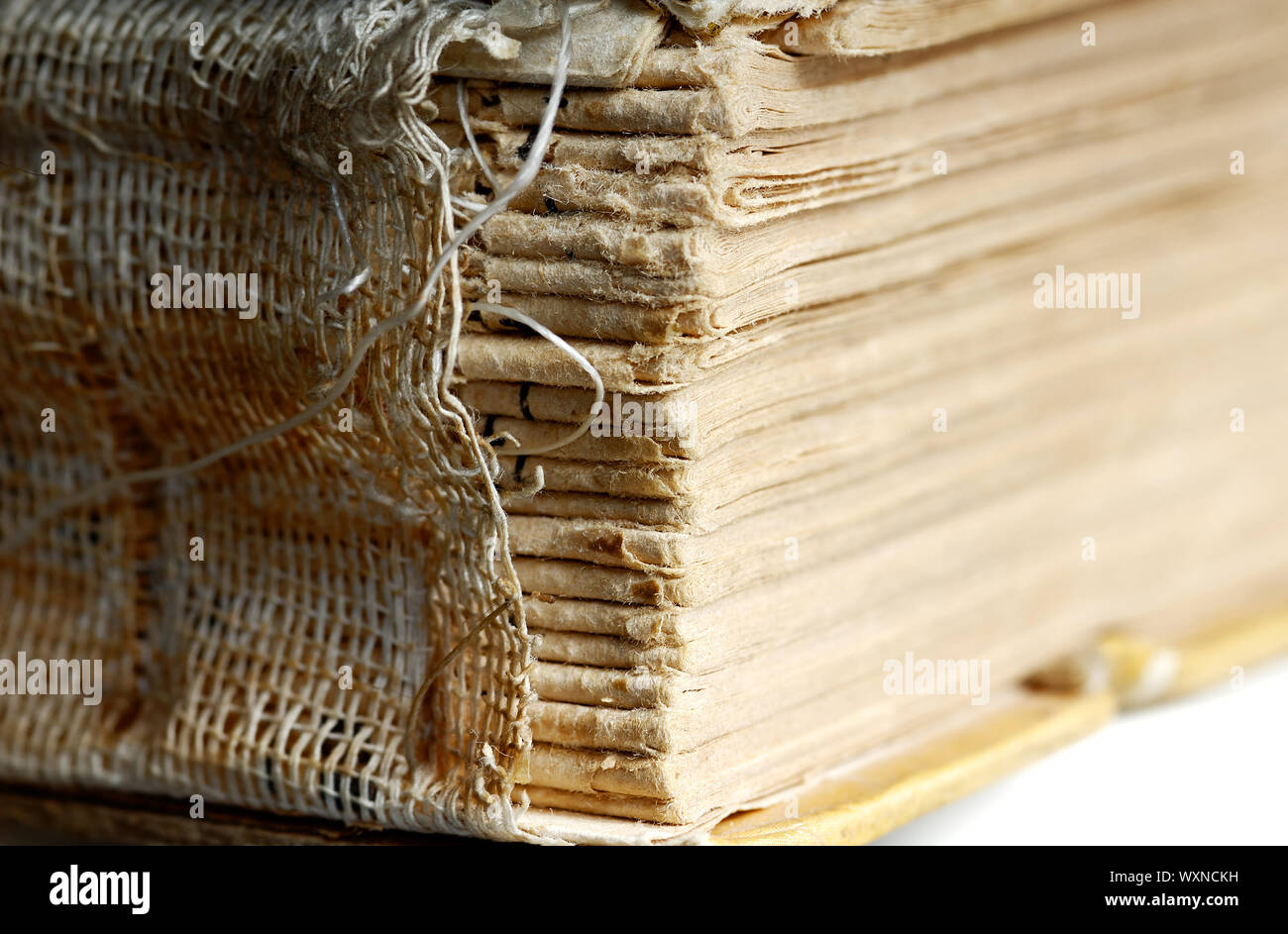 Close-up photo of the destroyed binding of old book Stock Photo - Alamy