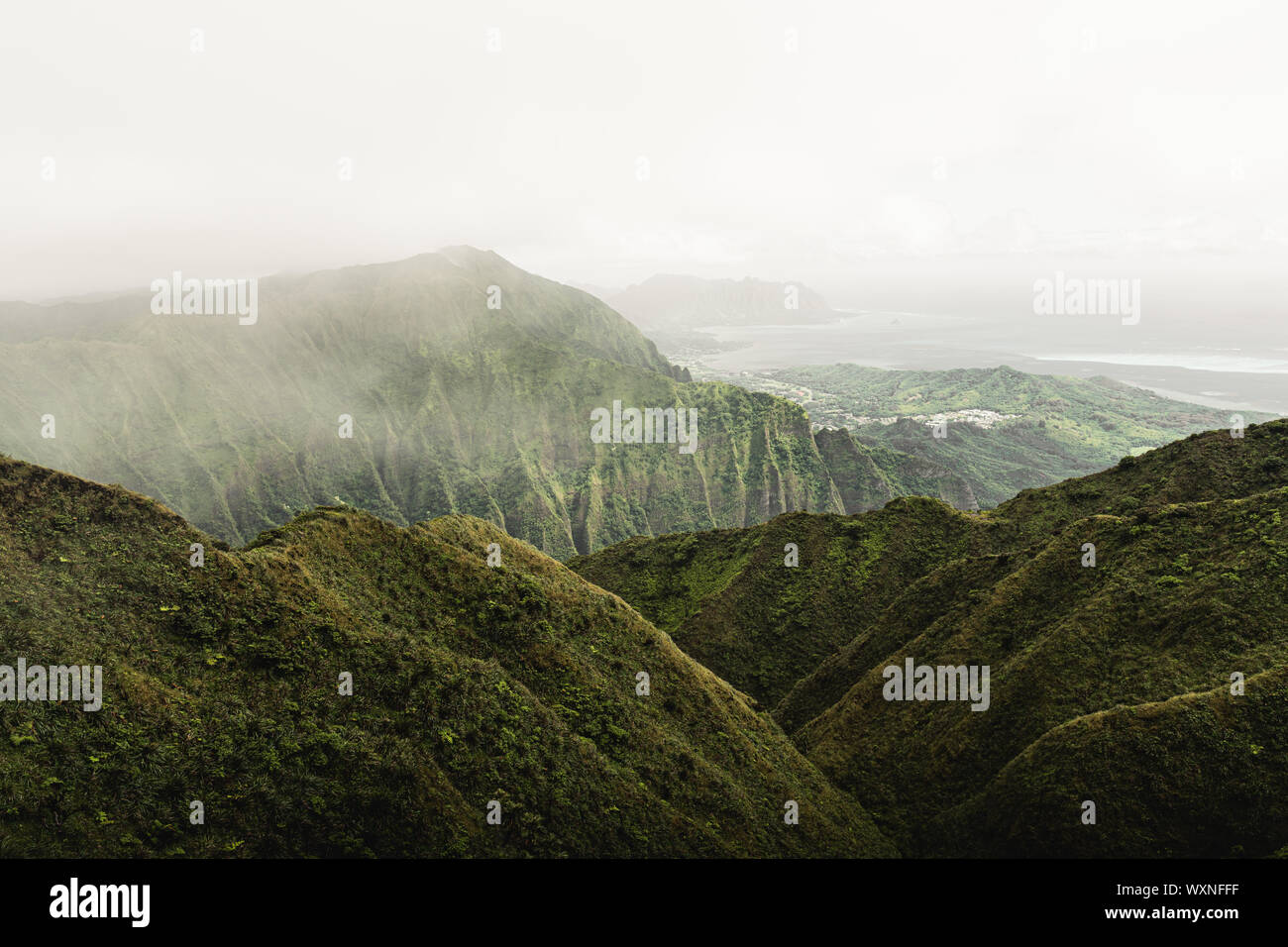 Moody vibes in the beautiful green mountains of the Moanalua Valley, Oahu, Hawaii. Taken on the Stairway to Heaven (Haiku Stairs) hike. Stock Photo