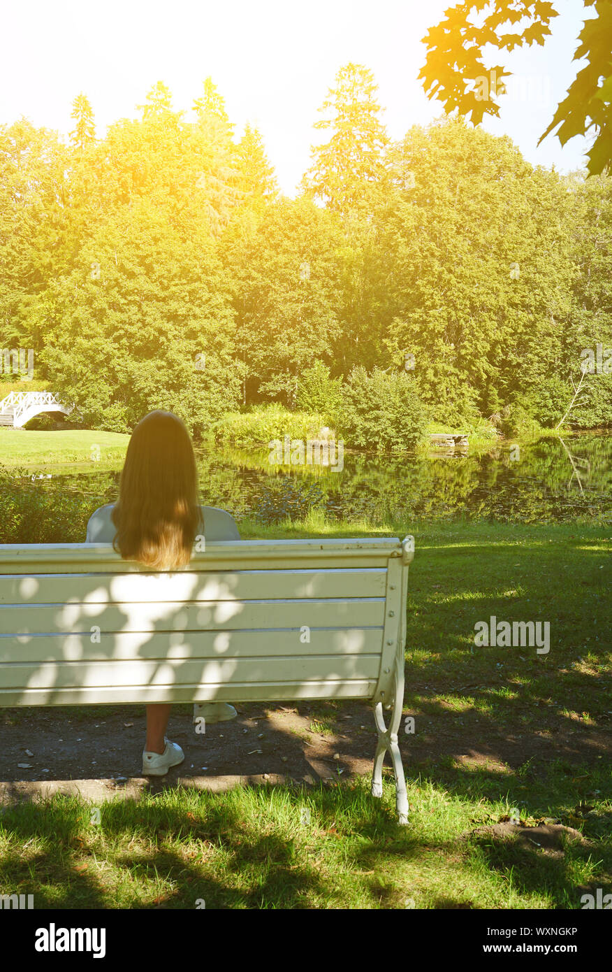 Woman sitting on the bench in the park at summertime Stock Photo - Alamy