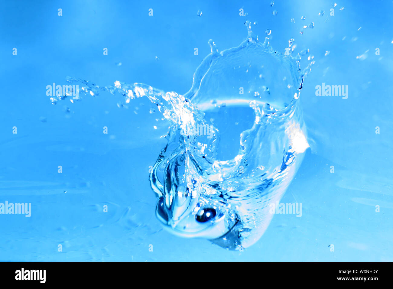 blue water splash macro close up Stock Photo - Alamy