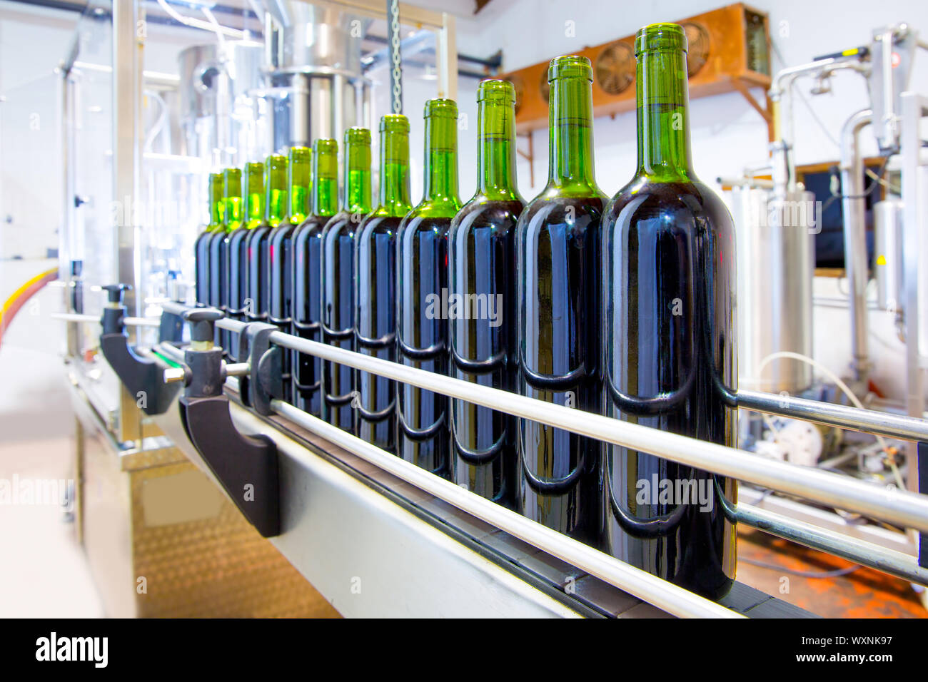 red wine in glass bottling machine at winery Stock Photo