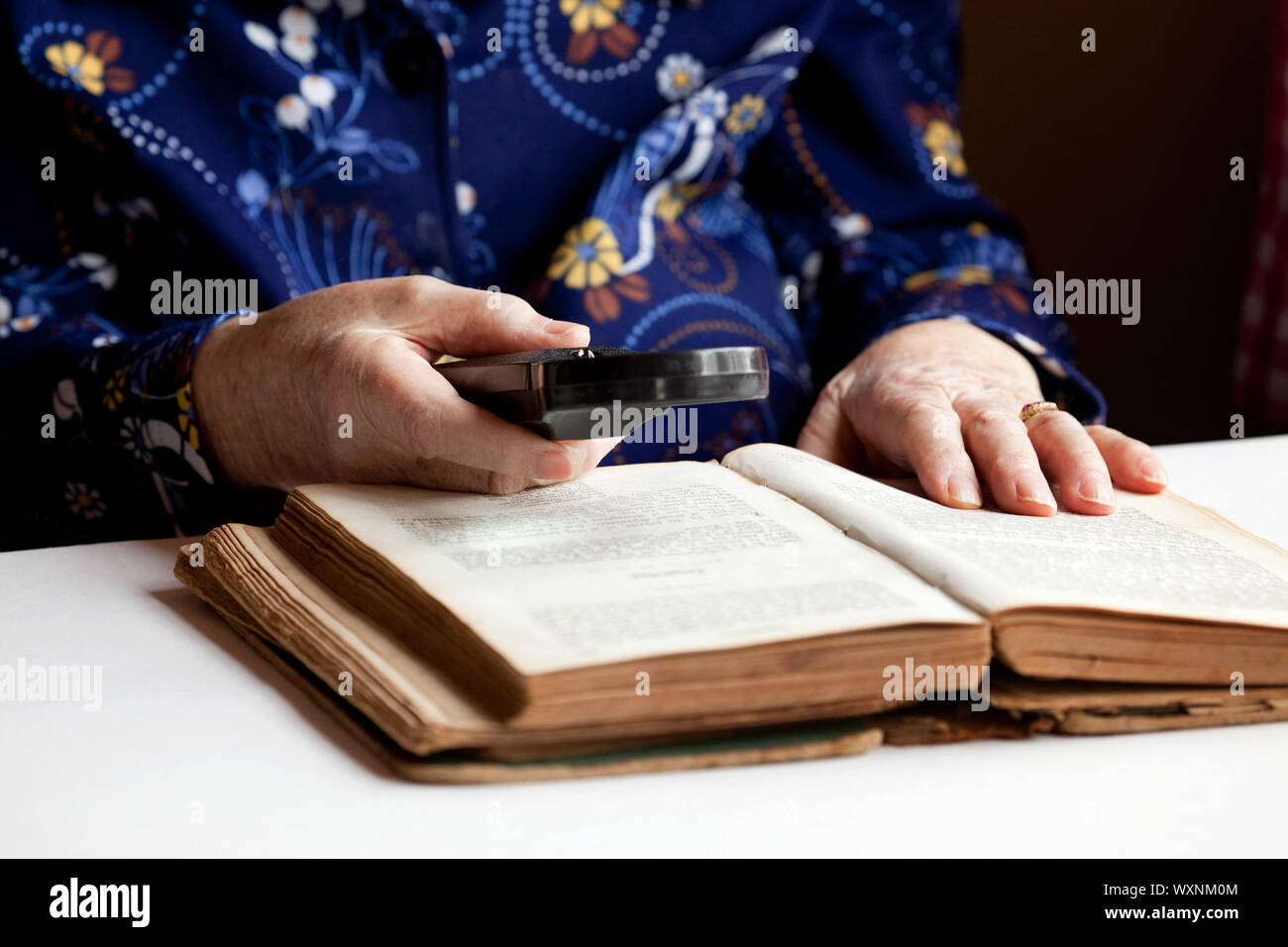 Elderly Woman Reading Stock Photo