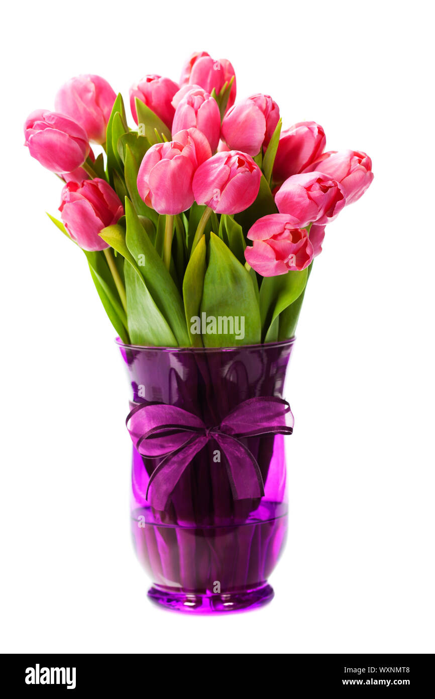 Pink tulips on white background Stock Photo - Alamy