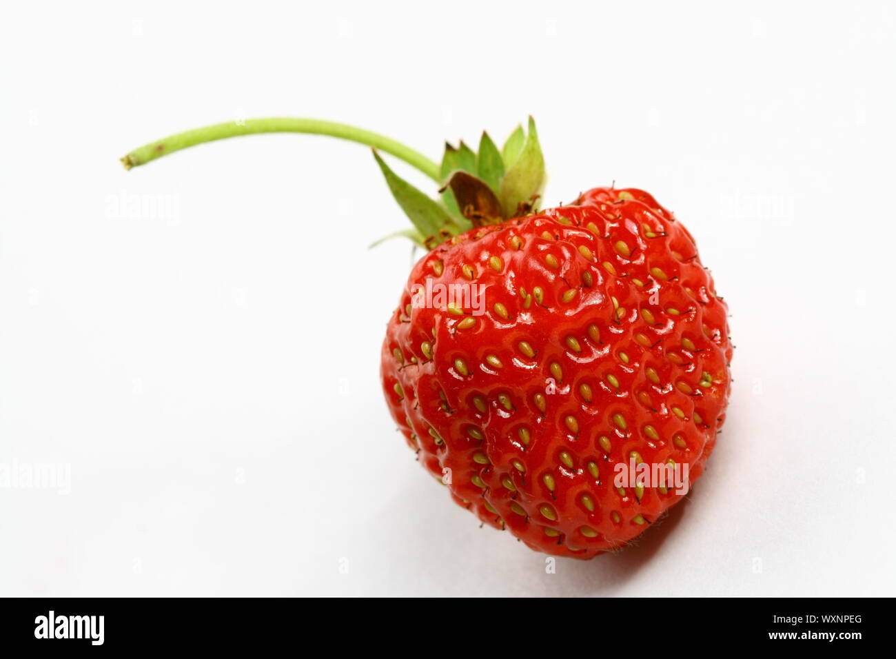 strawberry isolated on white background Stock Photo - Alamy