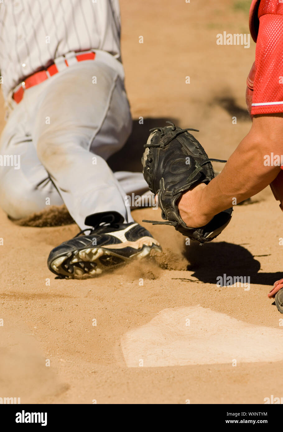 Close Play at Home Plate in Baseball Game Stock Photo Alamy