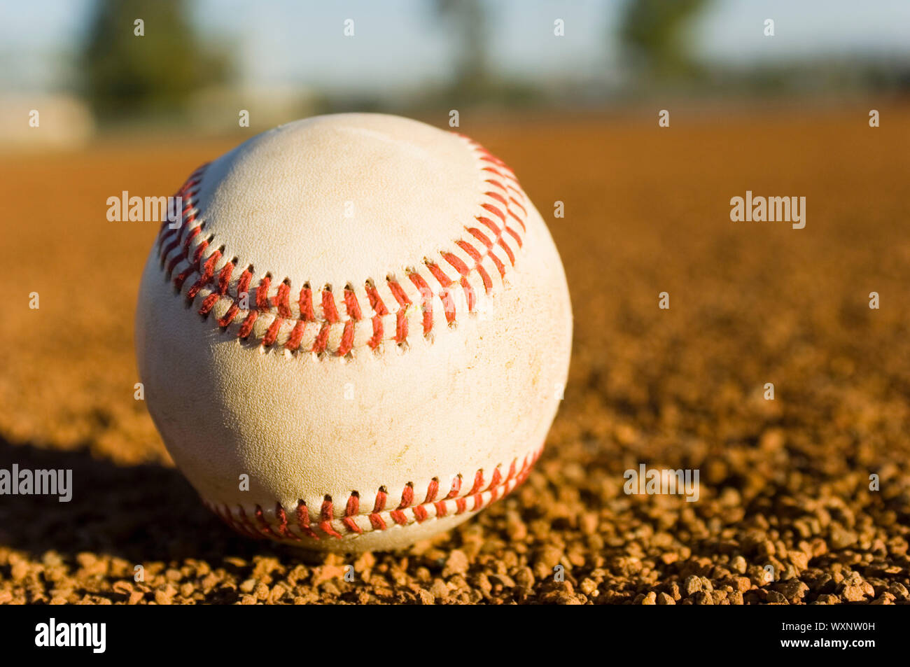 Infield single hi-res stock photography and images - Alamy