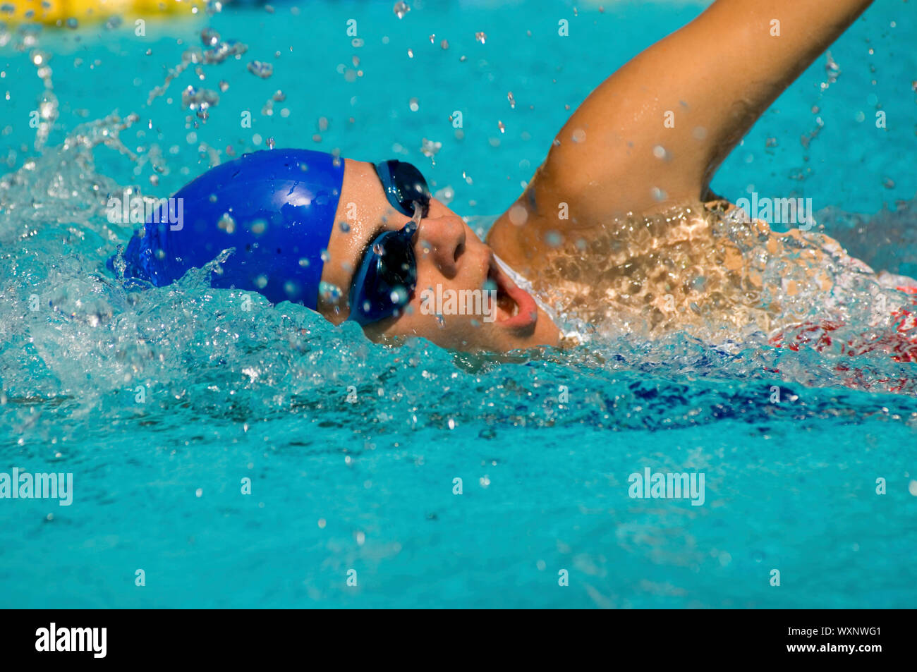 Woman Swimming and Coming Up for Air Stock Photo