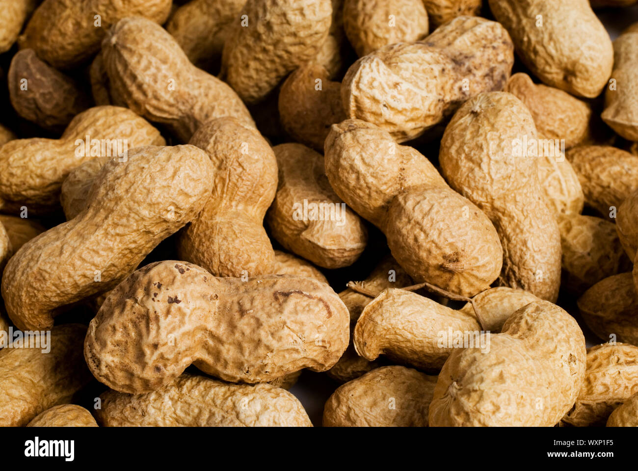 many closed burned peanuts Stock Photo Alamy