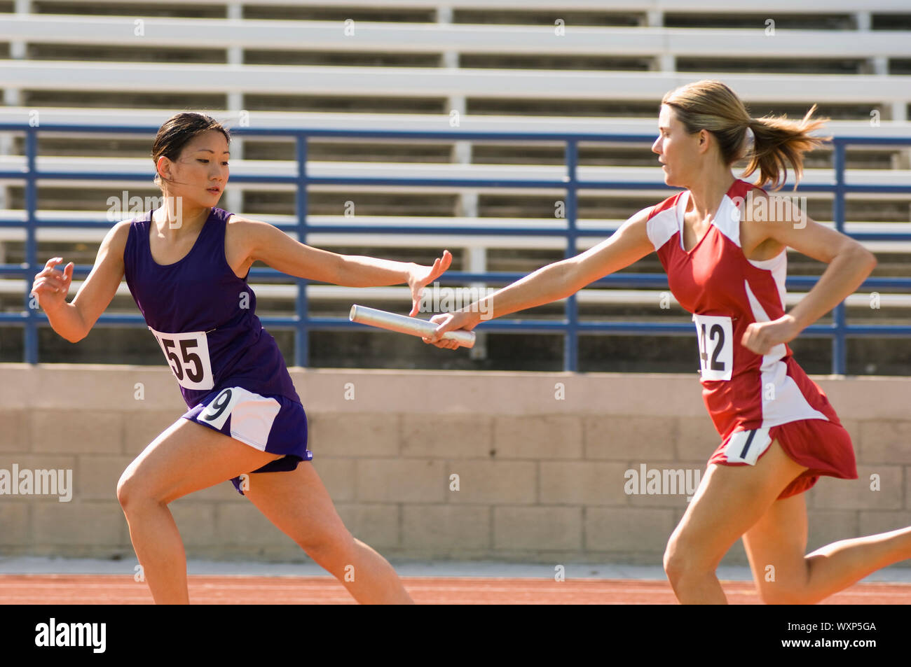 Female track athlete passing relay baton to another one Stock Photo Alamy