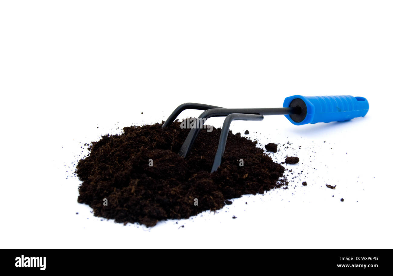 A gardening rake with potting compost on white Stock Photo