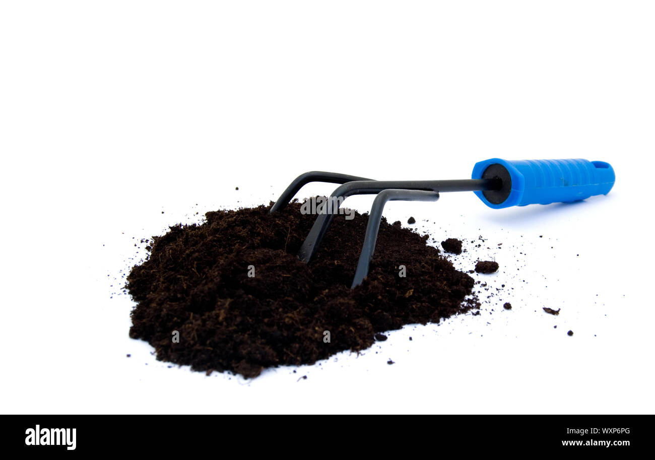 A gardening rake with potting compost on white Stock Photo - Alamy