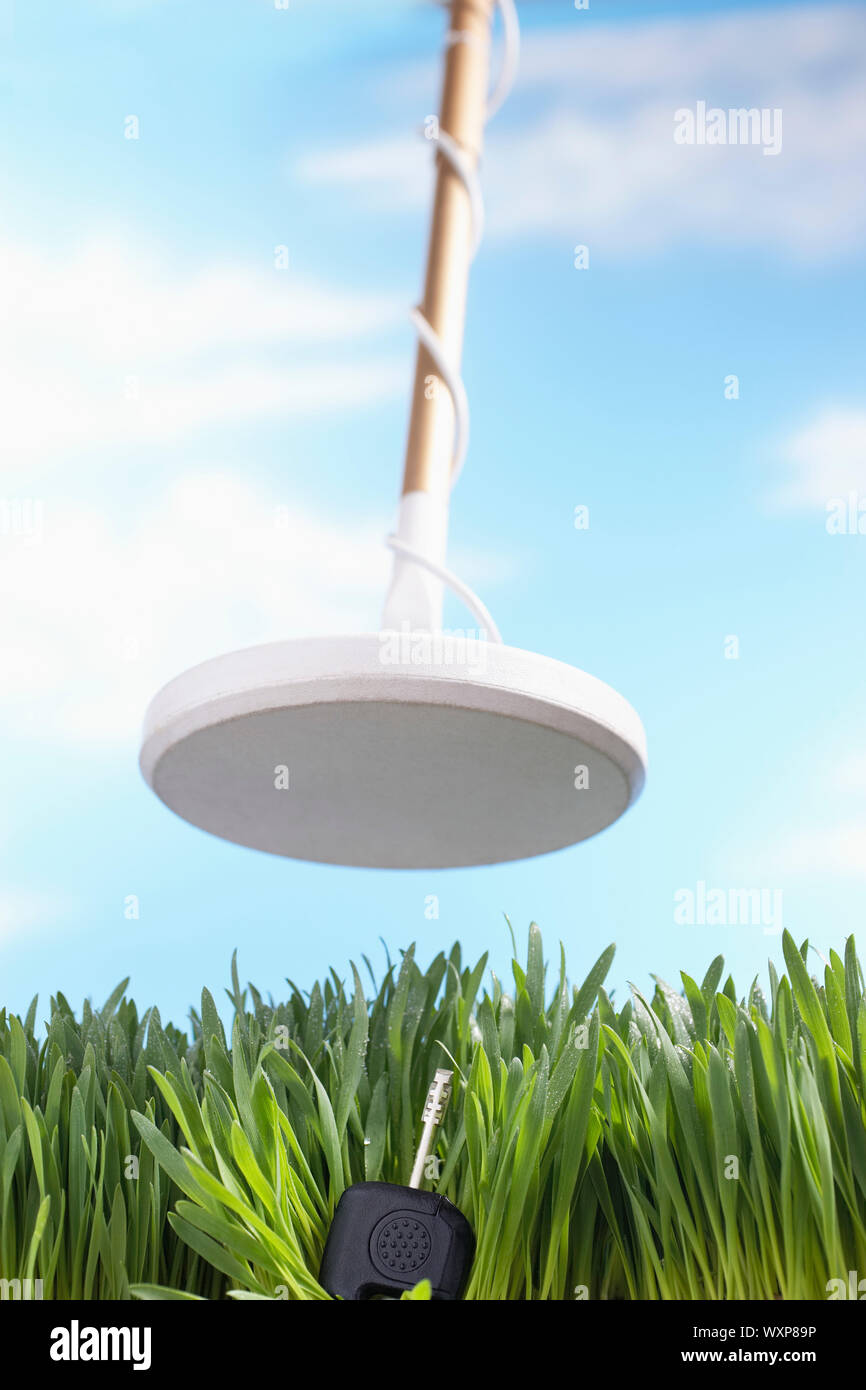 Metal Detector Finding Key in Grass Stock Photo Alamy