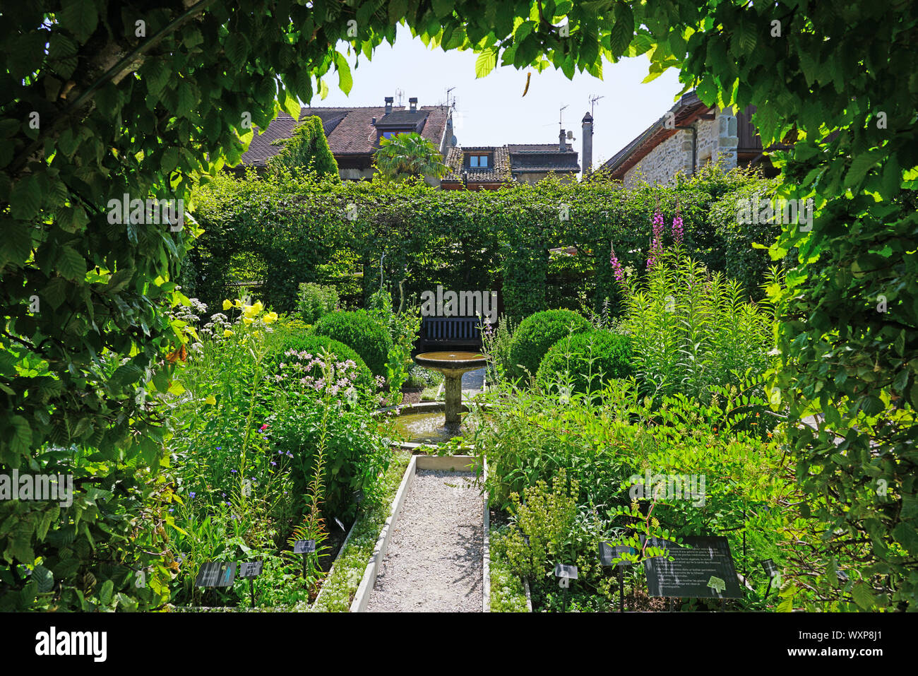 YVOIRE, FRANCE -27 JUN 2019- View of the Jardin des Cinq Sens (Five senses  garden) in the medieval village of Yvoire on the shore of Lake Geneva in Ha  Stock Photo - Alamy