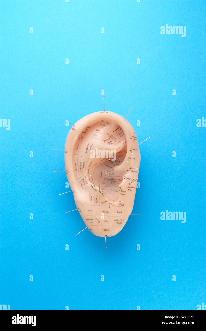 Acupuncture pins in model ear Stock Photo Alamy