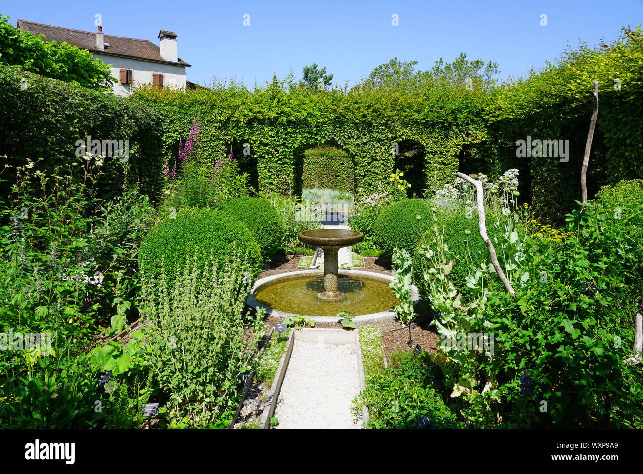 YVOIRE, FRANCE -27 JUN 2019- View of the Jardin des Cinq Sens (Five senses garden) in the medieval village of Yvoire on the shore of Lake Geneva in Ha Stock Photo
