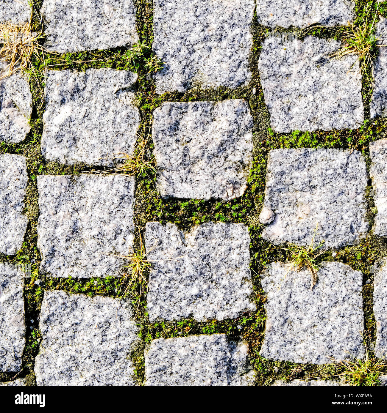 Stone Pavement Pattern Artificial Road Concrete Brick Surface Shape Modifier New 