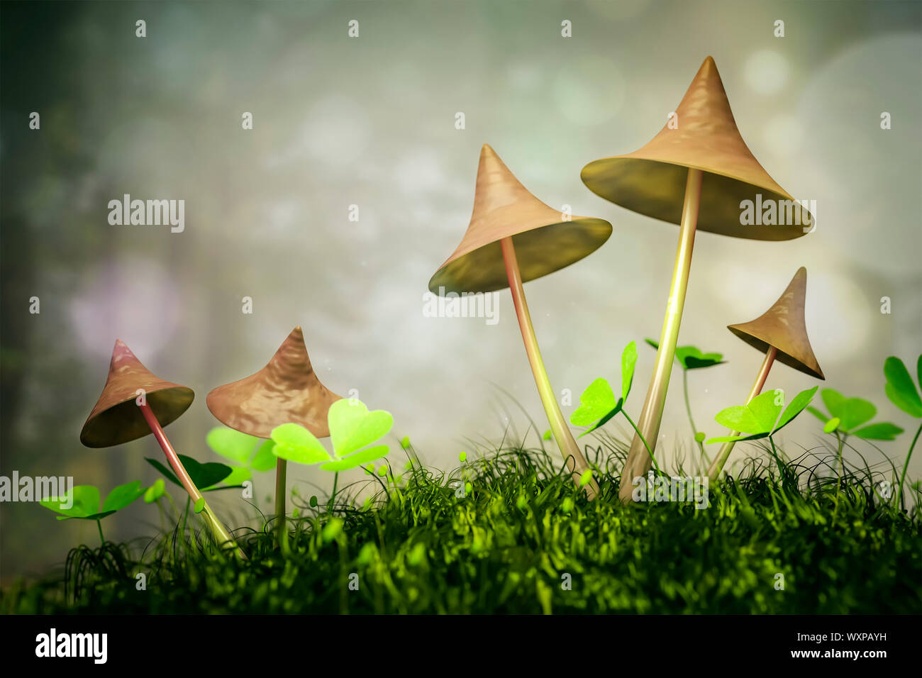 An image of some nice mushrooms in the forest Stock Photo