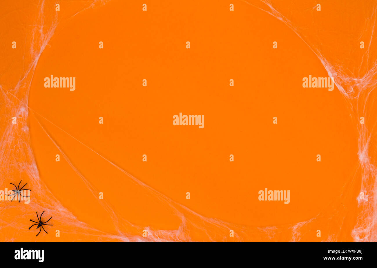 Creative orange background with spiders and web. Stock Photo