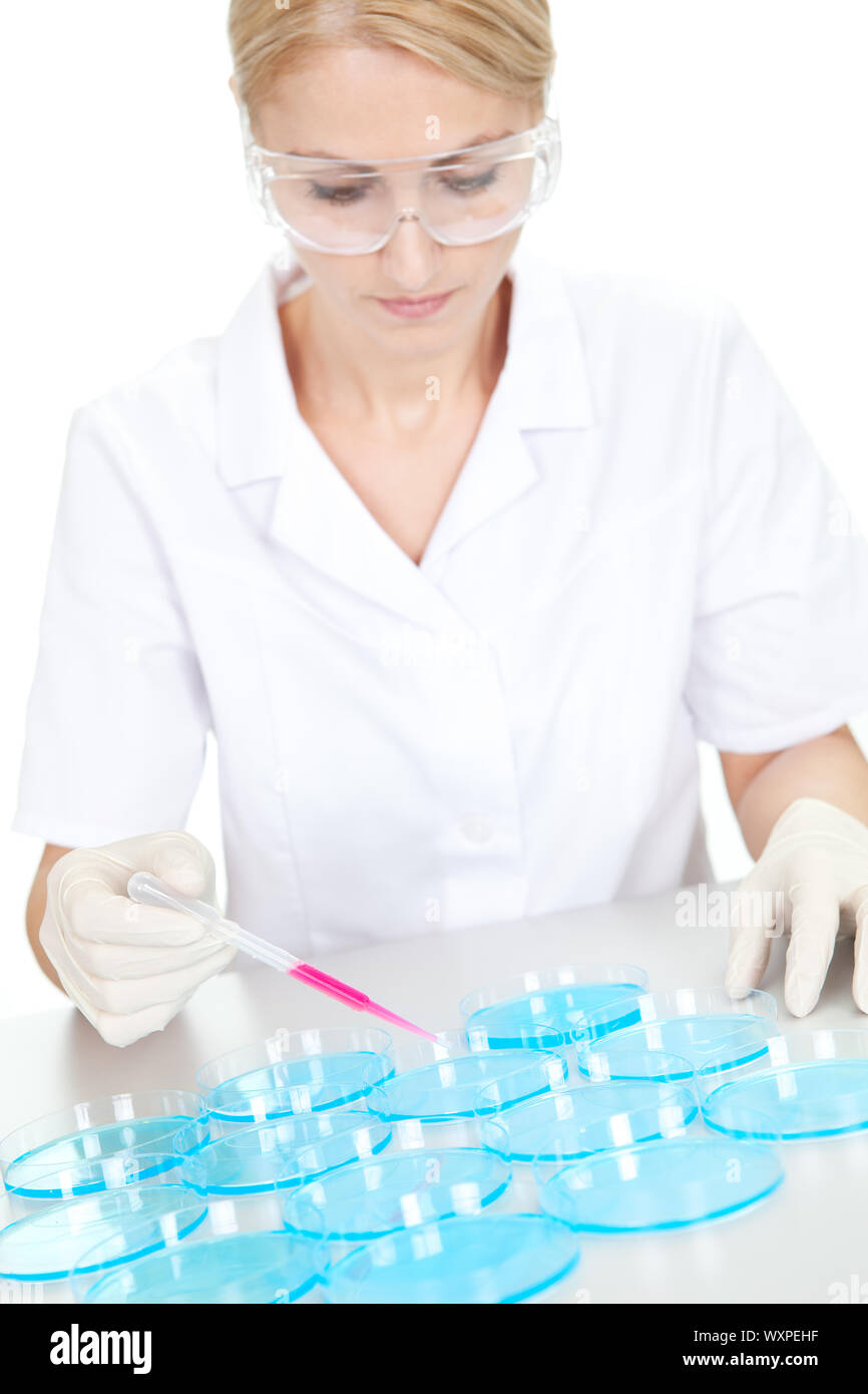 Researcher making an experimenting using petri dishes in laboratory