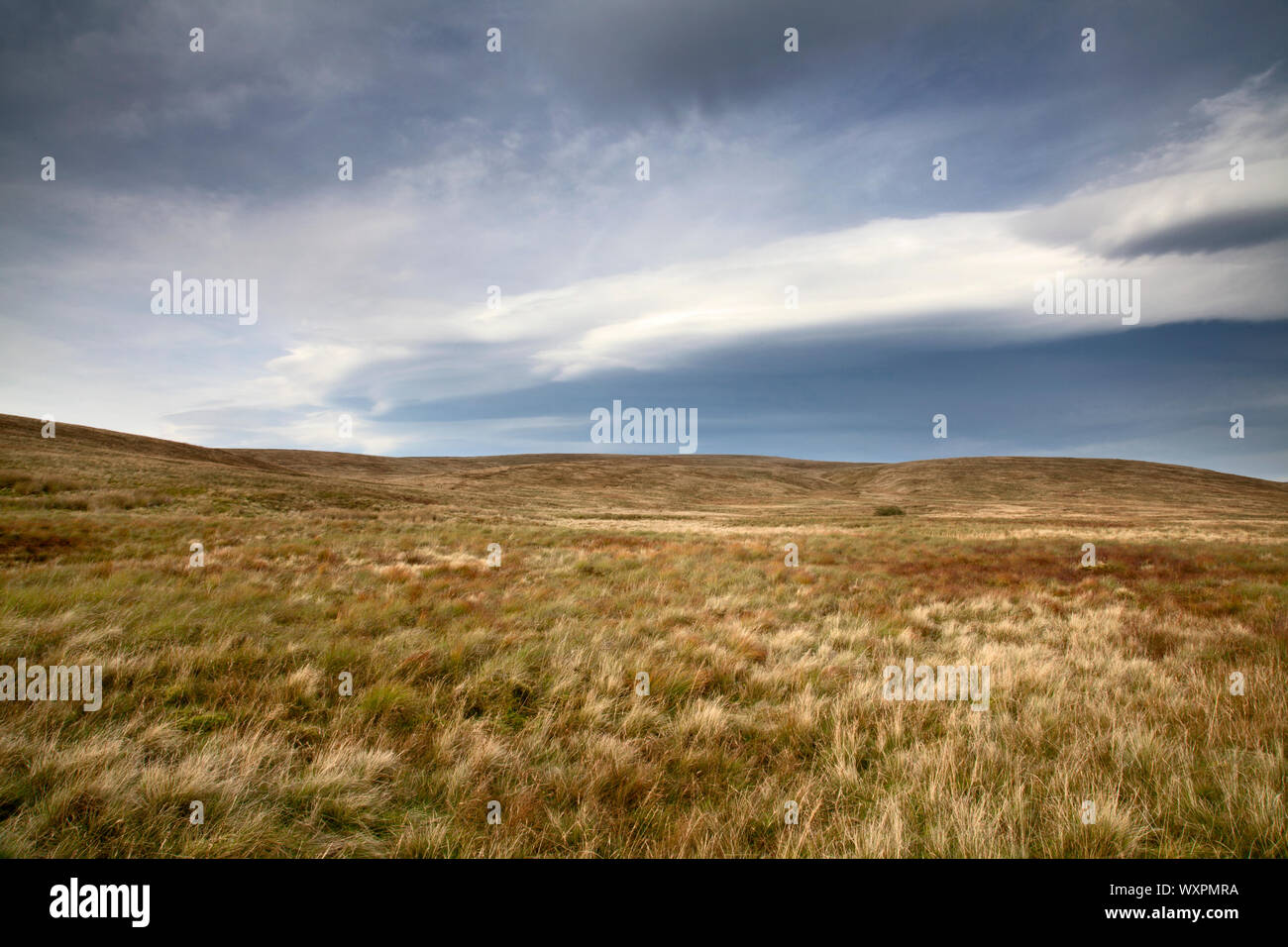 Open Moorland at the Ribblehead Viaduct and the Three Peaks. North