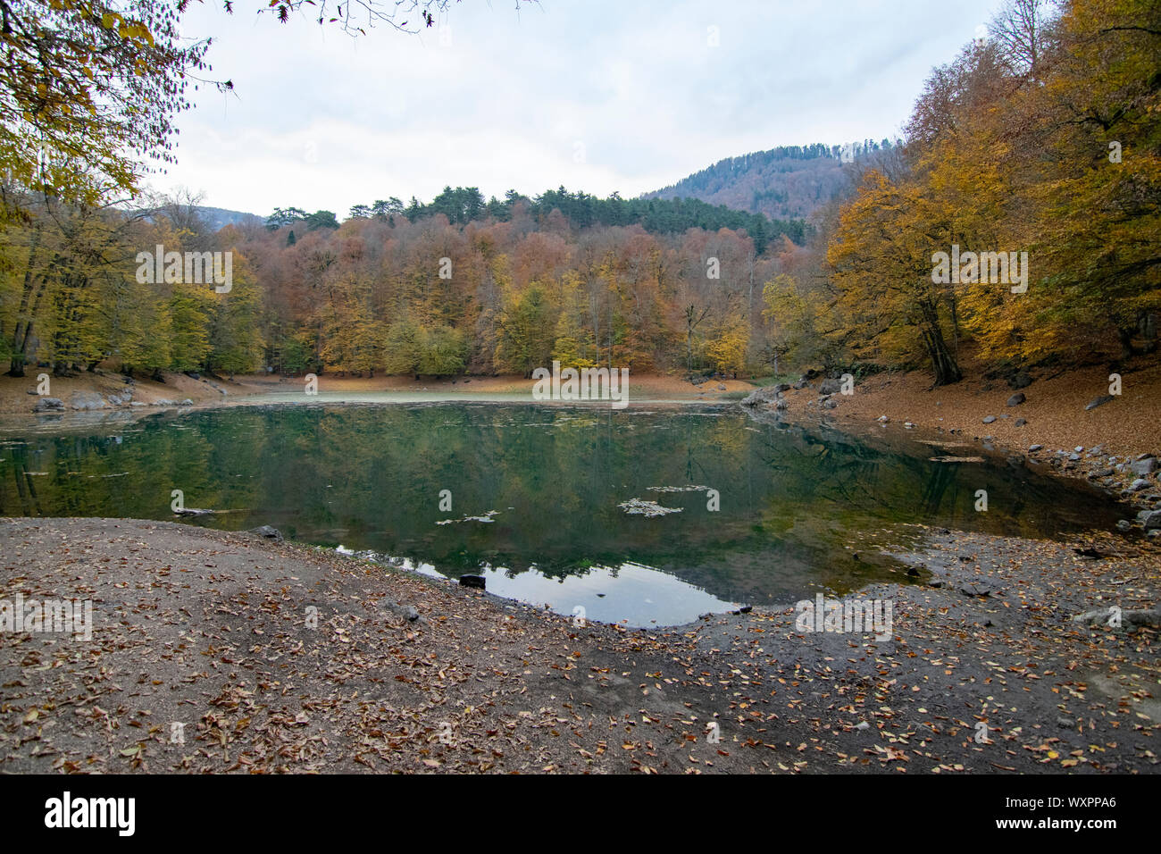Beautiful autumn views of Yedigoller National Park. Reflection of trees. Colored leaves. Falling ...
