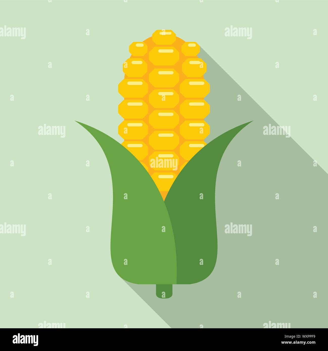 Corn plant icon. Flat illustration of corn plant vector icon for web ...