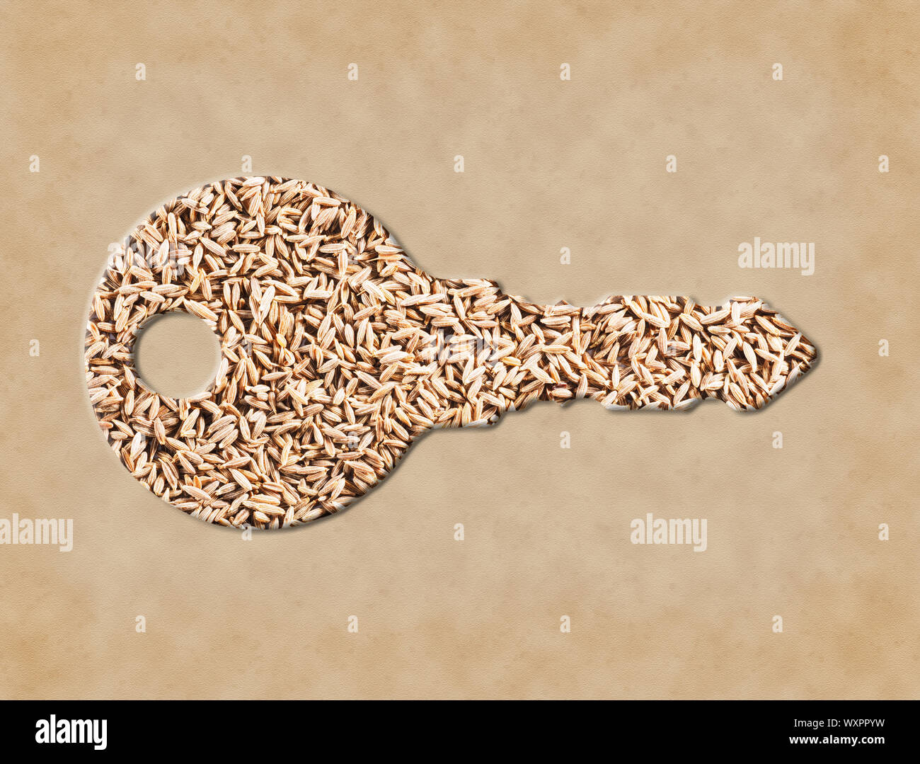 Cumin seeds (Cuminum), Jeera is the key to good nutrition and good