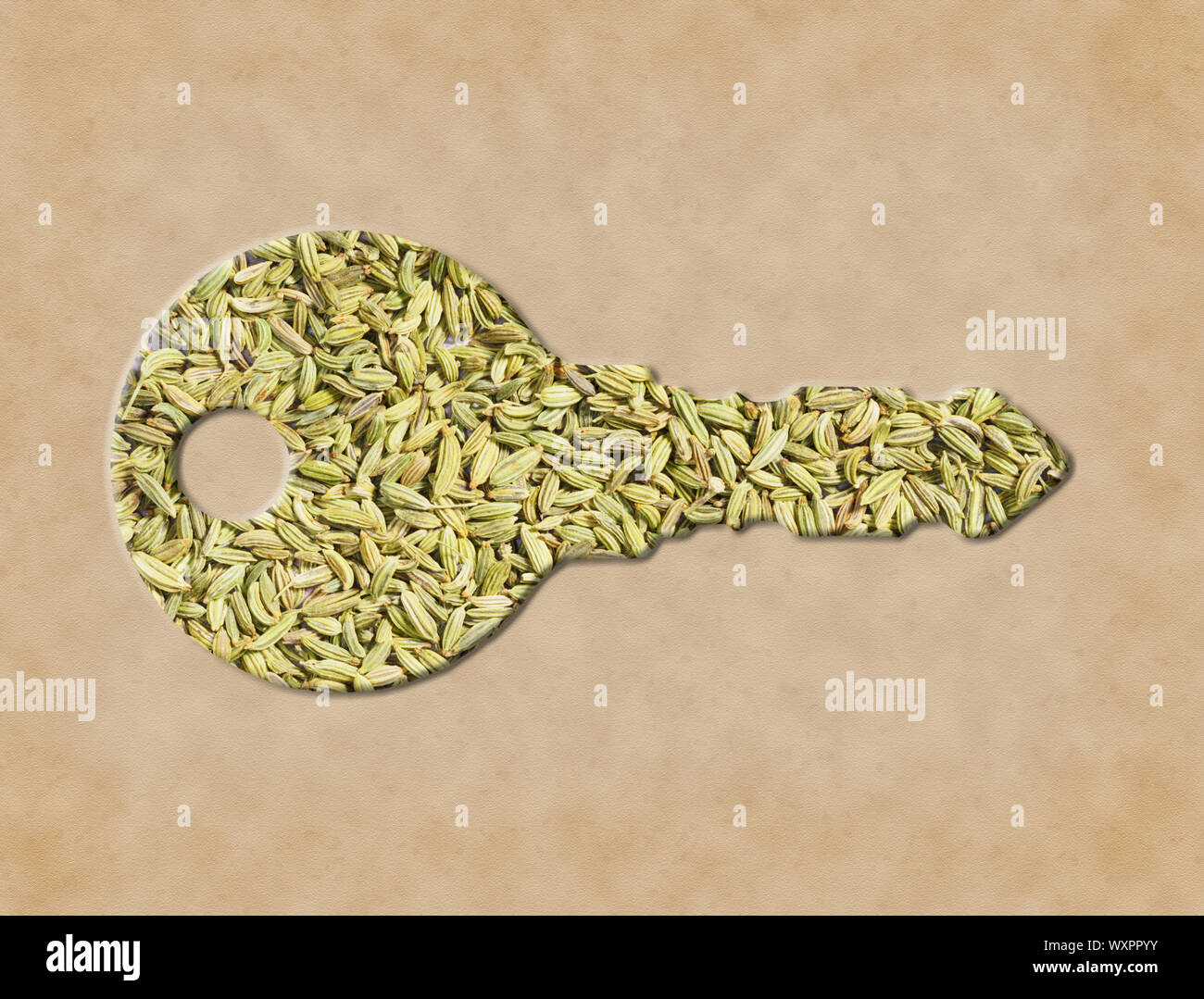 Fennel seeds (Foeniculum vulgare) is the key to good nutrition and good